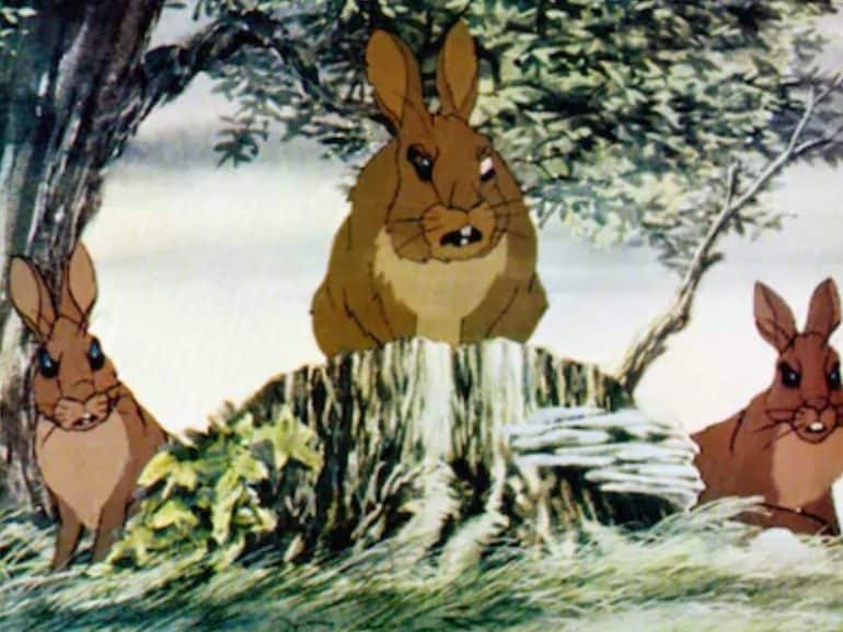 watership down