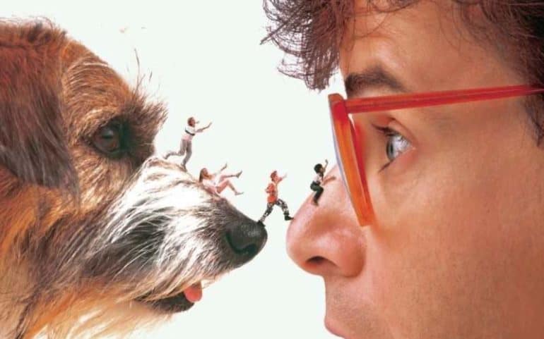 honey i shrunk the kids best 80s movies on disney plus