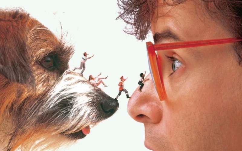 honey i shrunk the kids best 80s movies on disney+